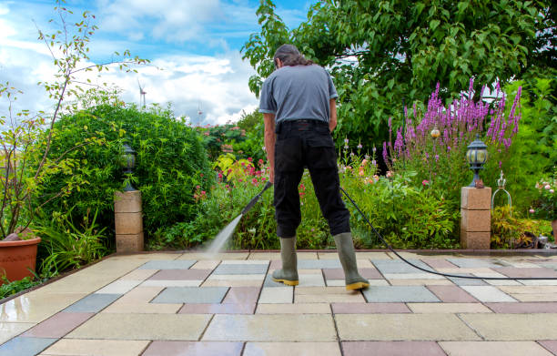 Best Building Exterior Pressure Washing in Phoenix, IL