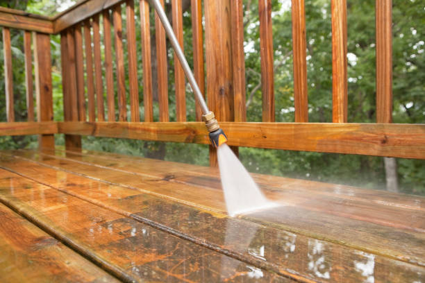 Best Gutter Cleaning and Brightening in Phoenix, IL
